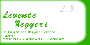 levente megyeri business card
